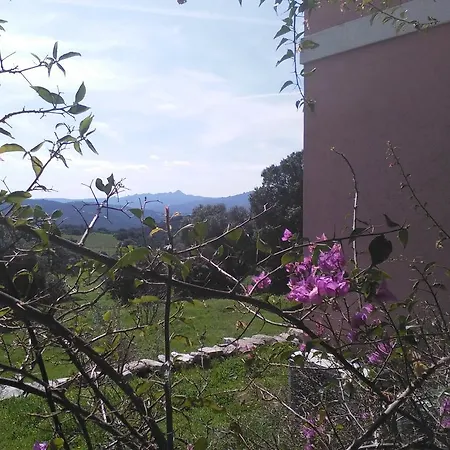 B&B Agriturismo Canu-3