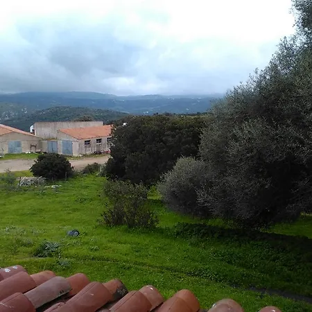 B&B Agriturismo Canu-2